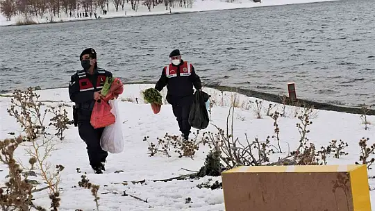 Tavşan Adası'nın uzun kulaklı sakinleri jandarma tarafından besleniyor