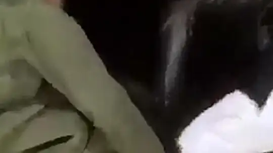 Tel örgülere takılan dağ keçisini köylüler ve jandarma kurtardı