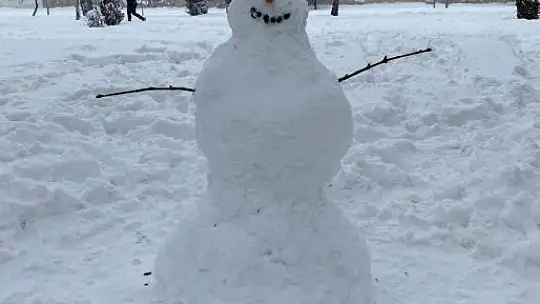 Vatandaşlar kardan adam yaparken yeteneklerini konuşturdu