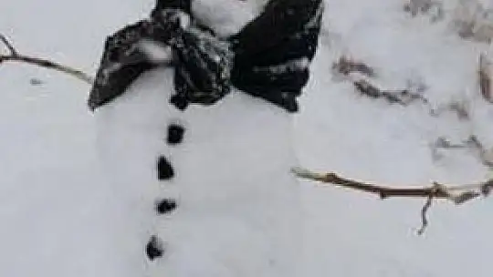 Vatandaşlar kardan adam yaparken yeteneklerini konuşturdu