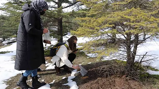 Yabancı uyruklu öğrenciler hayvanlar için doğaya yem bıraktı