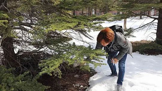 Yabancı uyruklu öğrenciler hayvanlar için doğaya yem bıraktı