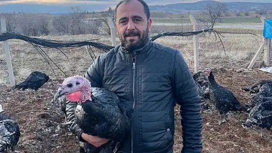 Yılbaşı öncesi yurt dışına 15 bin adet hindi gönderdi