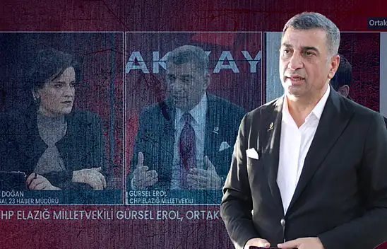Gürsel Erol: 'Kimse kimseyi elinden tutup bir yere götürmez!'