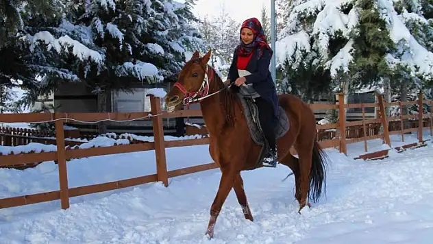 'Yapamazsın' dediler hırs yaptı Elazığ'ın tek kadın seyisi oldu