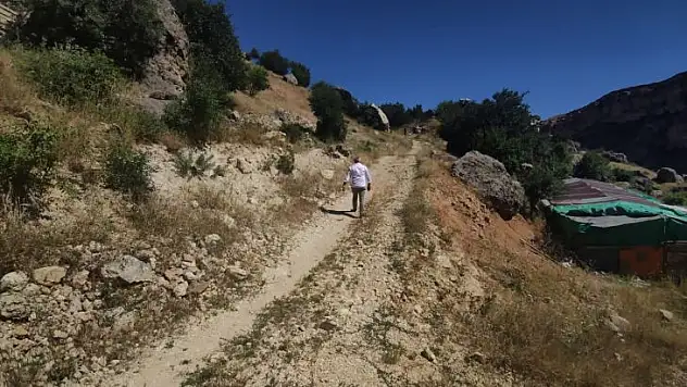 Bayram sabahı kaçan kurbanını bulmak için 3 gündür arazi arazi geziyor