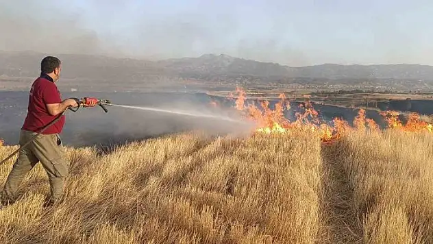 Bingöl'de çıkan ot yangını ekipler tarafından söndürüldü