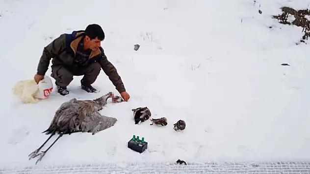 Bingöl'de kaçak avcılar turna ve 3 ördeği vurdu