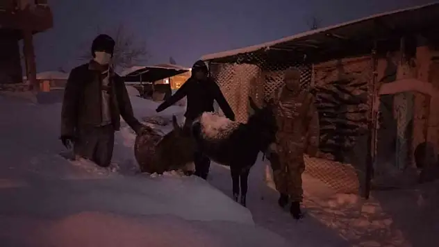 Donmak üzere olan hayvanların yardımına ekipler yetişti