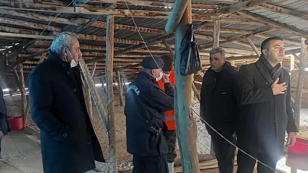 Elazığ'da evin çatısı biriken kar nedeniyle çöktü