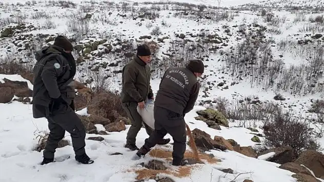 Bu kışta yaban hayvanları unutulmadı