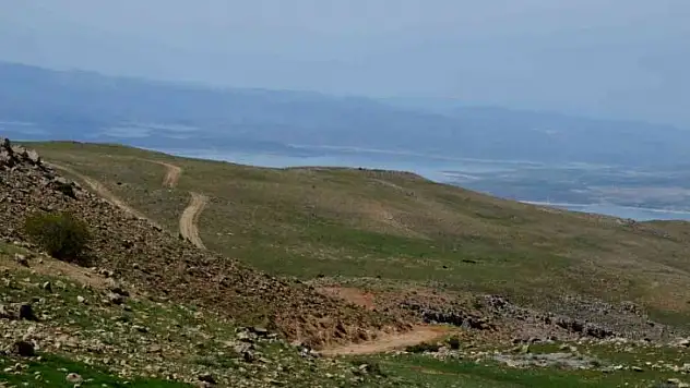 Tunceli'de mera otlatma 15 Haziran'da başlıyor