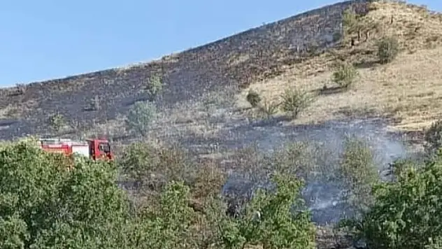 Tunceli'deki örtü yangını söndürüldü