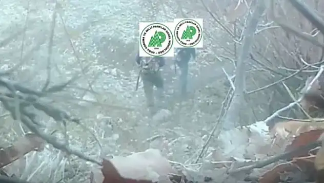 Yaban hayatını gözlemlemek için kurulan fotokapana kaçak avcılar da yakalandı