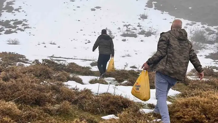 Bingöl'de yaban hayvanları için yemleme çalışması sürüyor