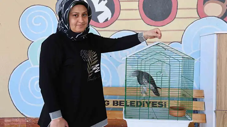 'Kübra' diye seslenen papağan, Tuba'sına kavuştu