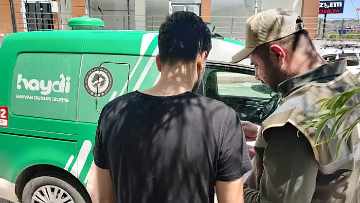 Aracı ile kediyi ezdi haydi ekiplerinden kaçamadı