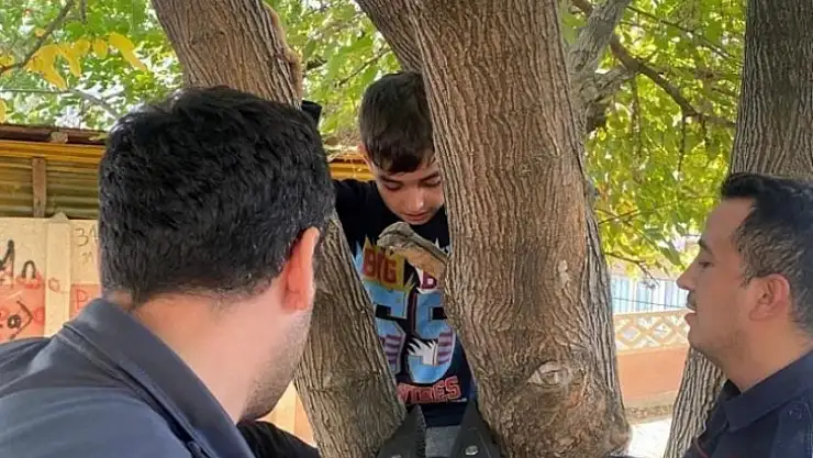 Ayağı ağaca sıkışan çocuğu, itfaiye kurtardı
