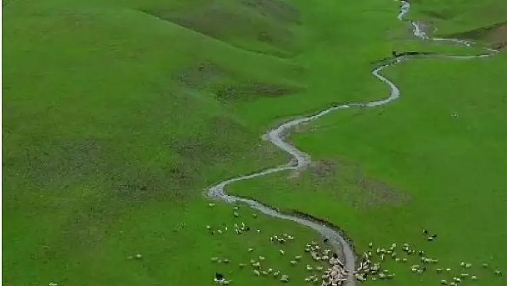 Bahar geldi, yeşillikler arasındaki menderesler hayran bıraktı