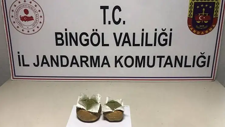 Bingöl'de 2 bin 507 kök kenevir ele geçirildi
