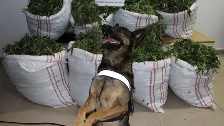 Bingöl'de bir haftada 112 kilo uyuşturucu ele geçirildi