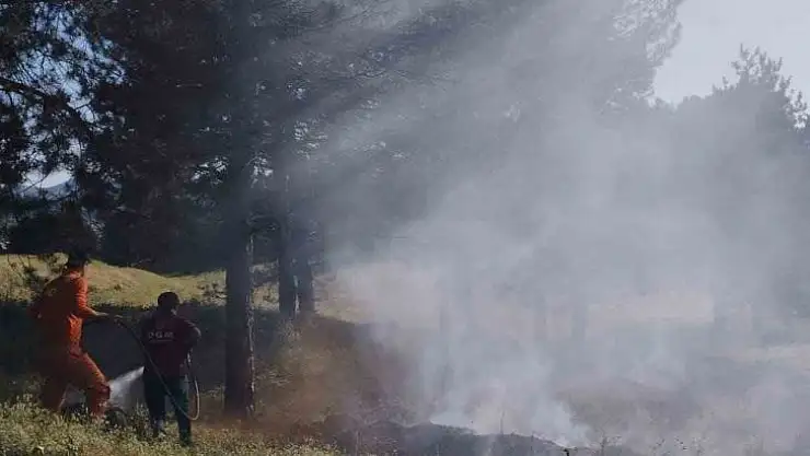 Bingöl'de çamlık alanda çıkan yangın büyümeden söndürüldü