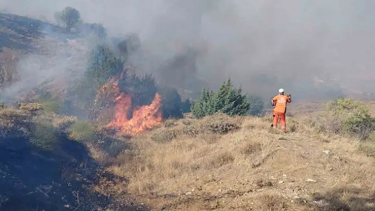 Bingöl'de çıkan orman yangını söndürüldü