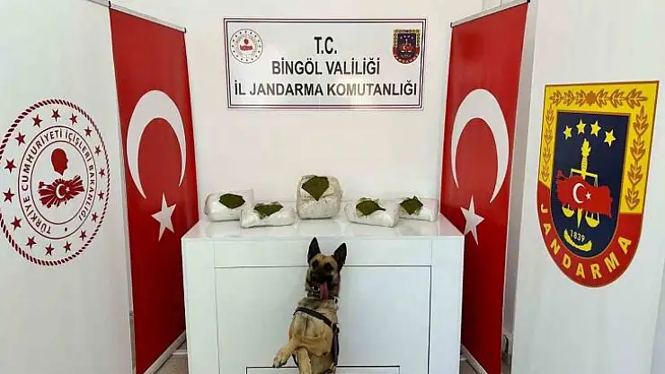 Bingöl'de toprağa gömülü 13 kilo uyuşturucu ele geçirildi