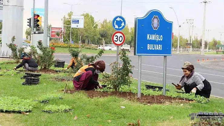 Diyarbakır'da 1 milyon 200 bin kışlık çiçeğin toprakla buluşturulması hedefleniyor