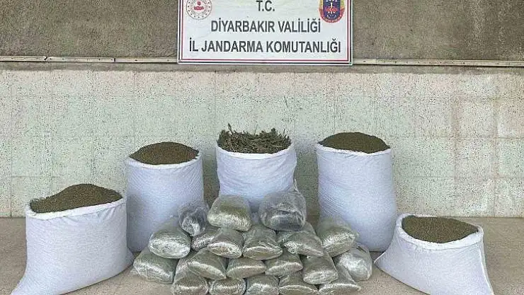 Diyarbakır'da 173 kilo esrar ele geçirildi