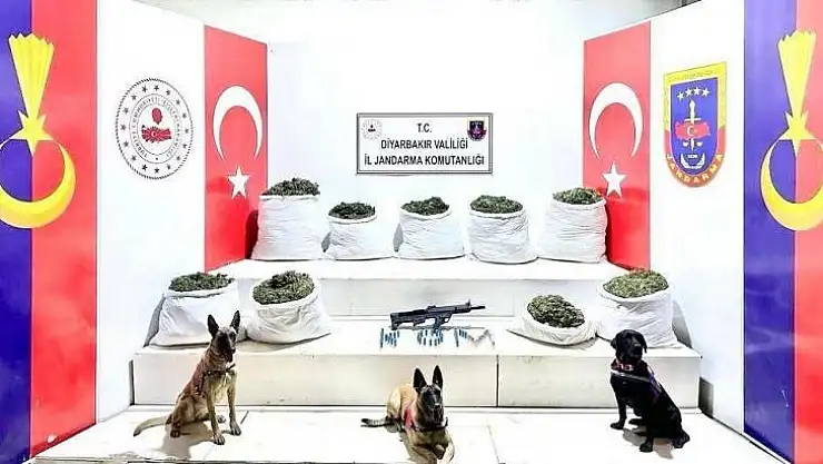 Diyarbakır'da 364,5 kilo uyuşturucu ile 150 bin kök skunk bitkisi ele geçirildi