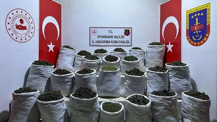 Diyarbakır'da 435 kilo esrar ve 632 bin 120 kök esrar bitkisi ele geçirildi