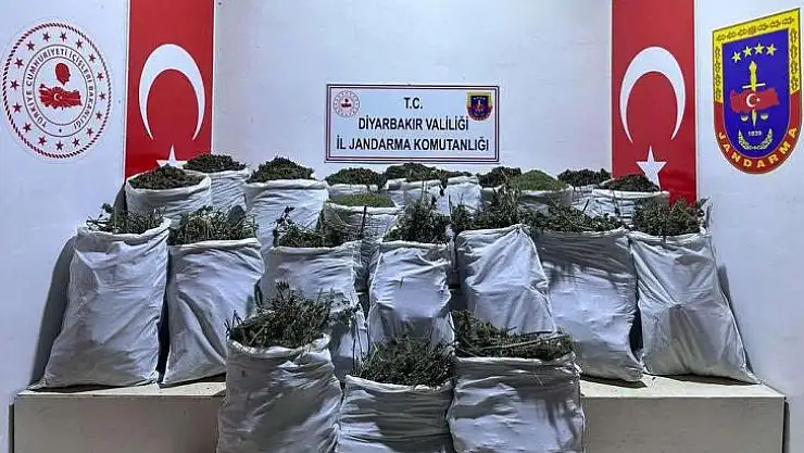 Diyarbakır'da 6 ayrı noktada 543 kilo esrar ele geçirildi