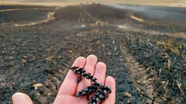 Diyarbakır'da ekin tarlasında yangın