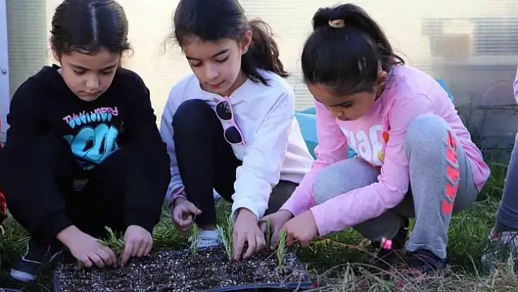 Diyarbakır'da öğrenciler çalı ve çiçek üretiyor