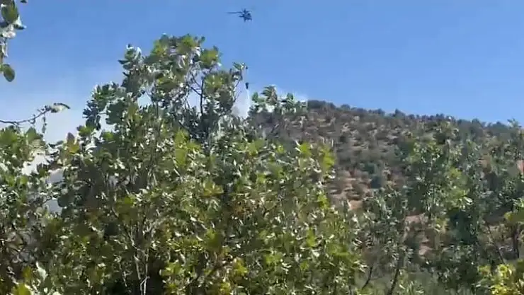 Diyarbakır'da orman yangını: Havadan ve karadan müdahale ile söndürüldü