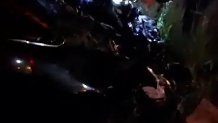 Diyarbakır'da otomobil mandalara çarptı: 2 kişi yaralandı, hayvanlar telef oldu