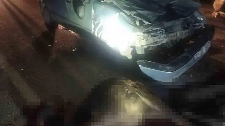 Diyarbakır'da otomobil mandalara çarptı: 2 kişi yaralandı, 3 manda telef oldu