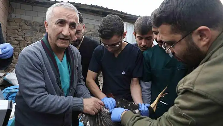Diyarbakır'da veteriner hekim adayları saha çalışmalarına katıldı
