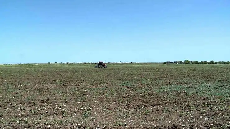 Diyarbakır ve çevresinde etkili olan yağışlar çiftçinin yüzünü güldürecek