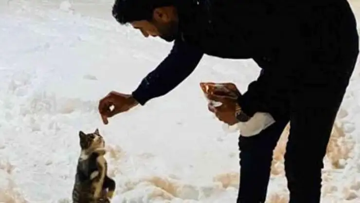 Dönüp gitmek yerine onları beslemek için yiyecekle geri dönmeyi seçti