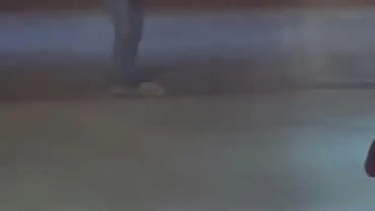 Elazığ'da duyarlı bir vatandaş, yola çıkan kirpiyi ezilmekten kurtardı