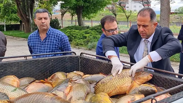 Elazığ'da kaçak balık ele geçirildi