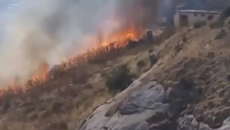 Elazığ'da otluk alanda çıkan yangın korkuttu