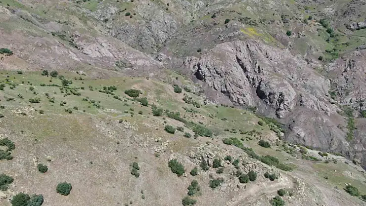 Elazığ'daki kan donduran cinayetin dehşet veren detayları ortaya çıktı