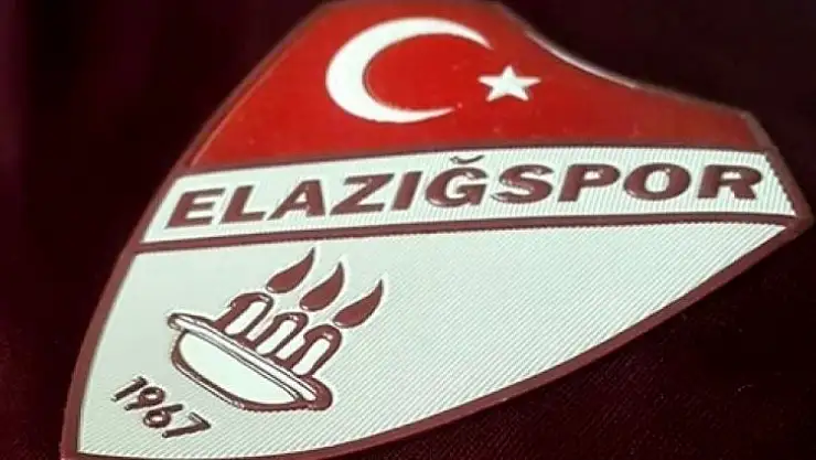 Elazığspor lig'de kalmayı başardı