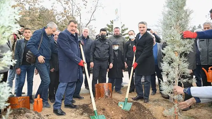 Hemşehri dernekleri fidan dikti