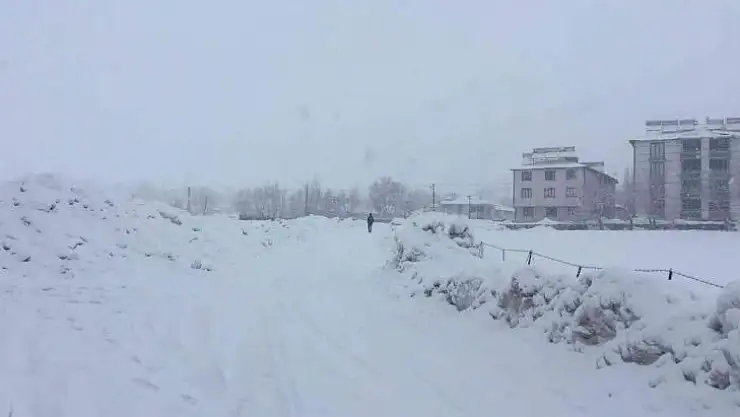 Karlıova'da kar yağışı etkili oldu