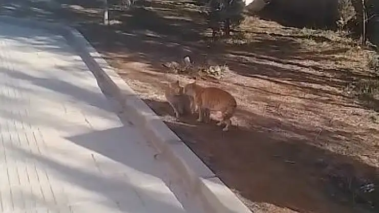 Şano Başkan'dan gülümseten paylaşım!