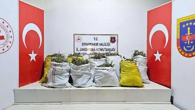 Lice'de uyuşturucu operasyonu